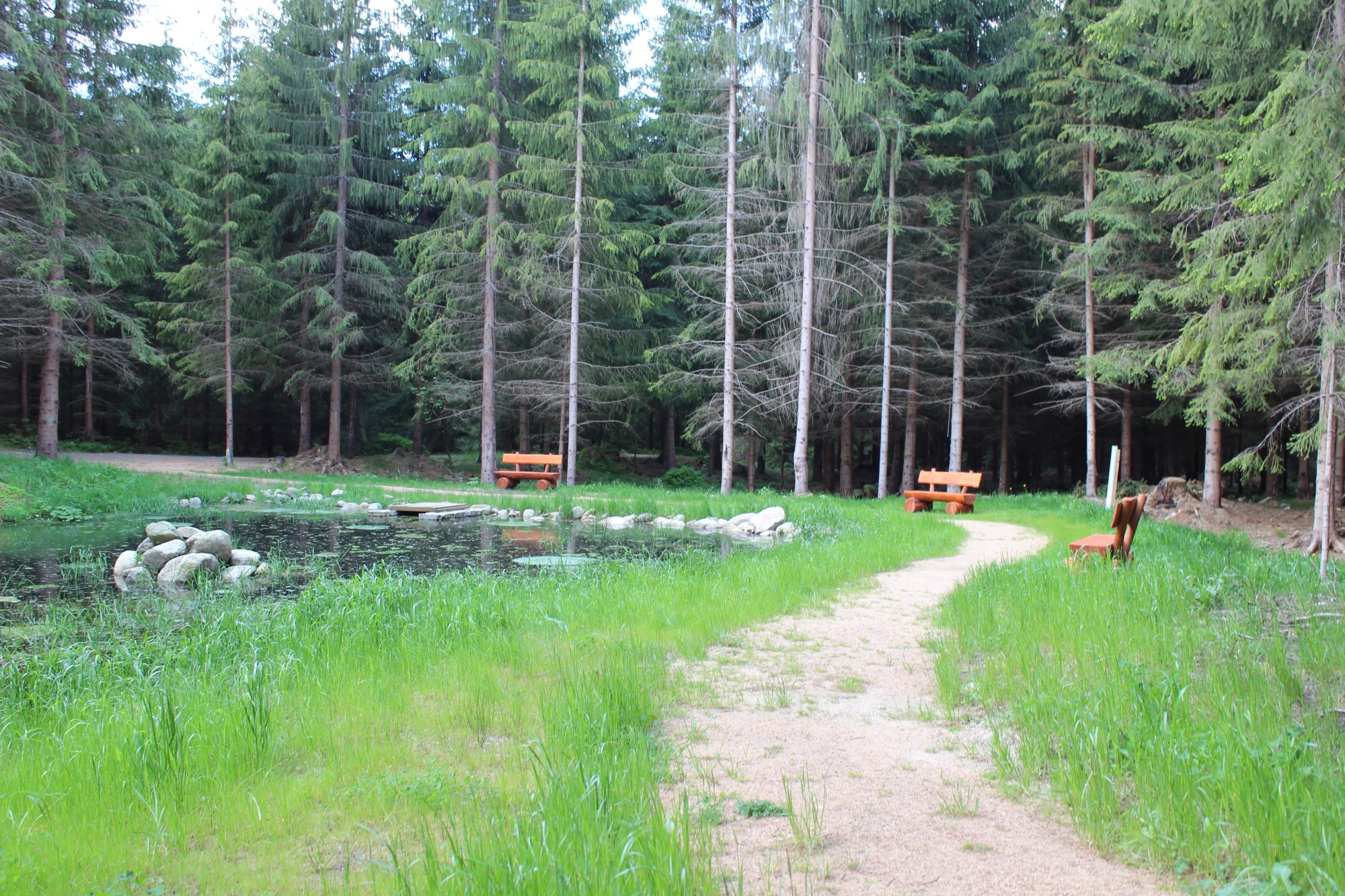harrachovske_rybnicky